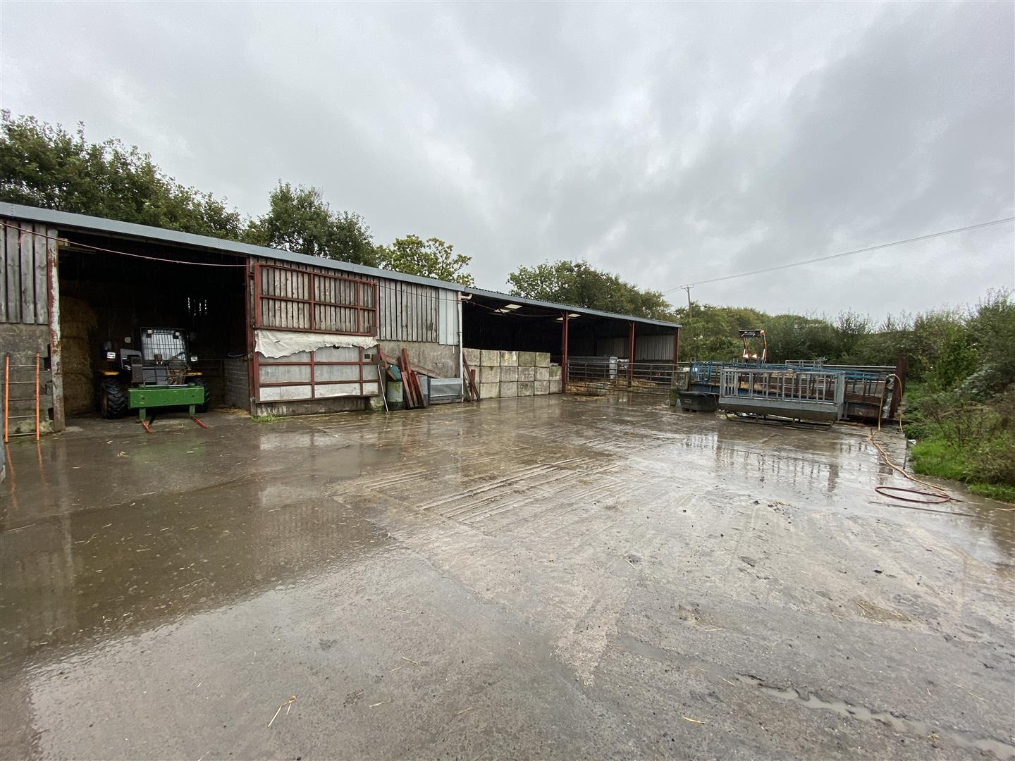 CATTLE YARD